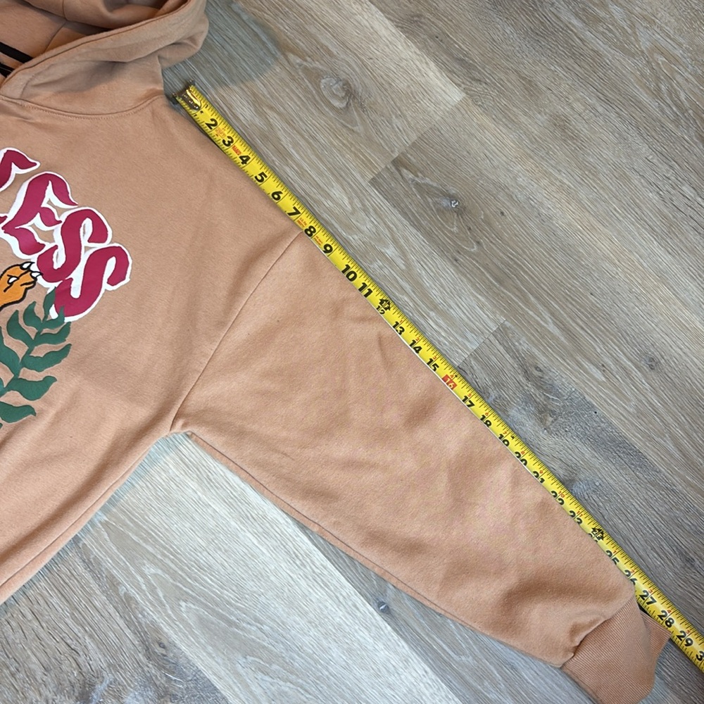 Reason Men's Khaki Fearless Tape Trip Graphic Print Tiger Hoodie Size medium - Picture 8 of 11